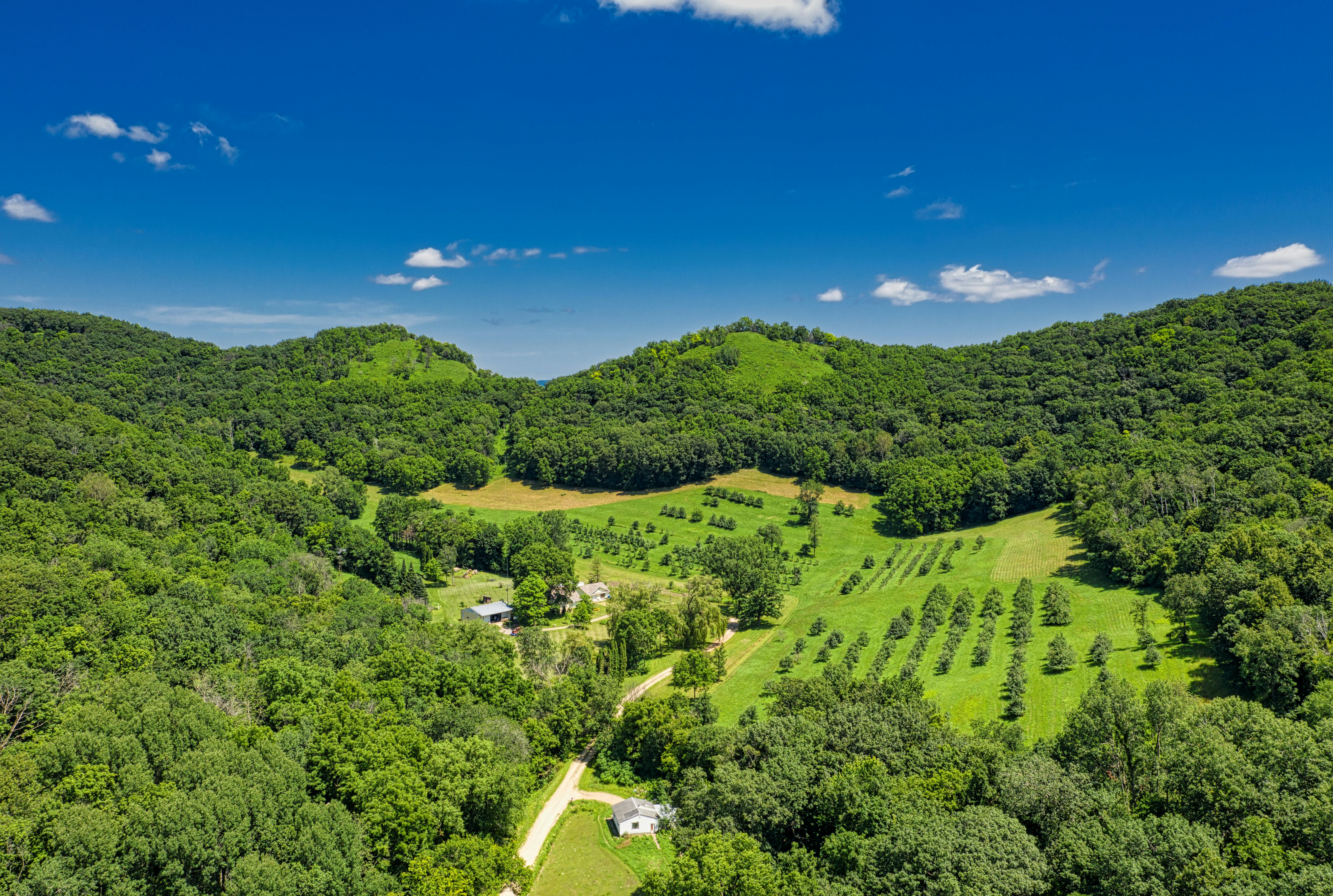 Lote à venda